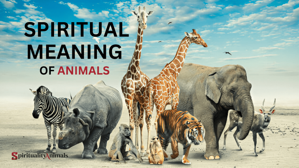 Spiritual Meaning of Animals