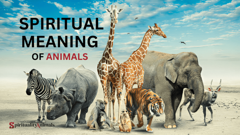 Spiritual Meaning of Animals