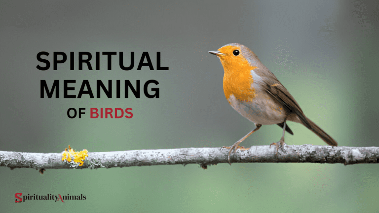 Spiritual Meaning of Birds