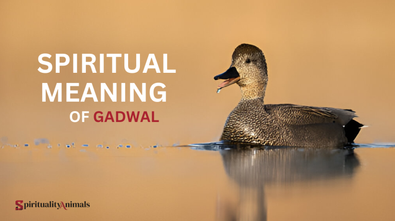 Spiritual Meaning of Gadwal