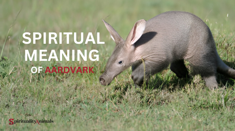 Spiritual Meaning of Aardvark