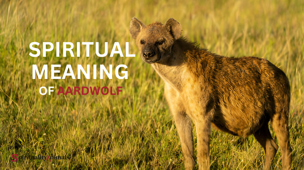 Spiritual Meaning of Aardwolf
