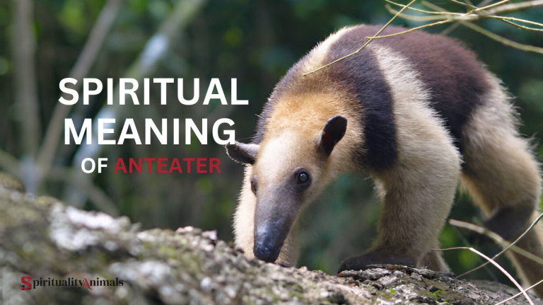 Spiritual Meaning of Anteater