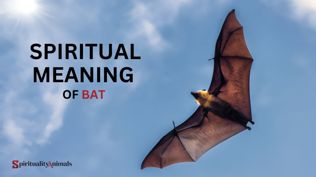 Spiritual Meaning of Bat