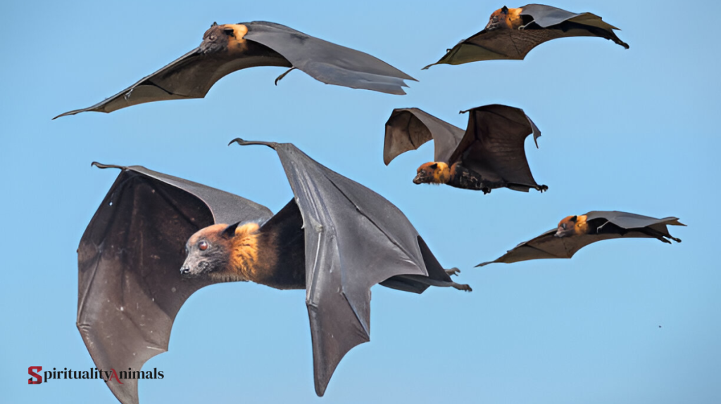 Spiritual Meaning of Bat