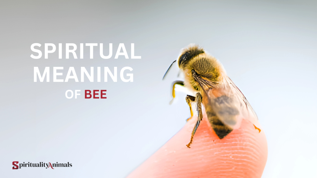 Spiritual Meaning of Bee