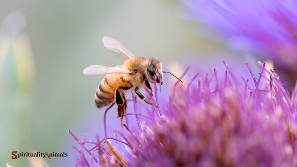 Spiritual Meaning of Bee