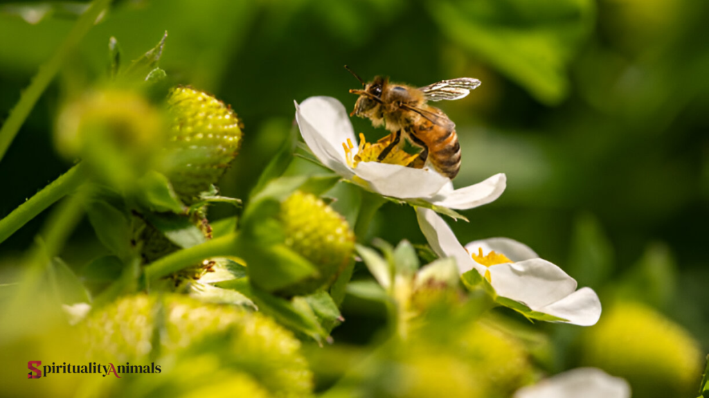 Spiritual Meaning of Bee