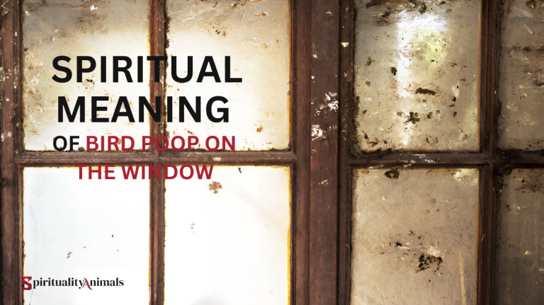 Spiritual Meaning of Bird Poop on the Window