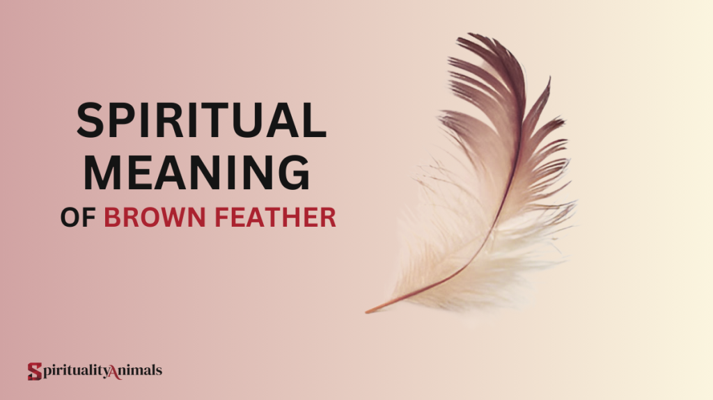 Spiritual Meaning of Brown Feather