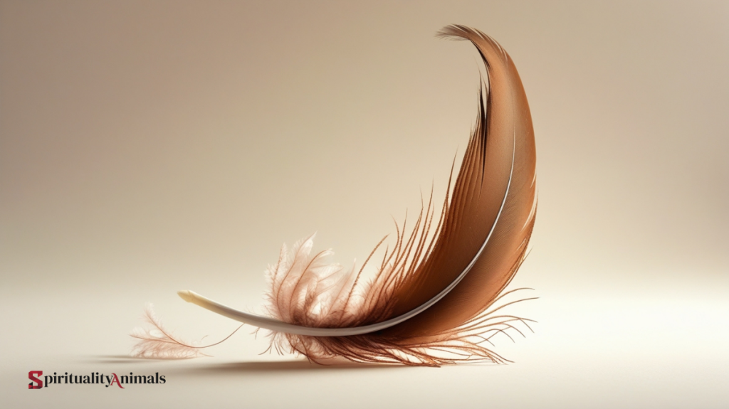 Spiritual Meaning of Brown Feather