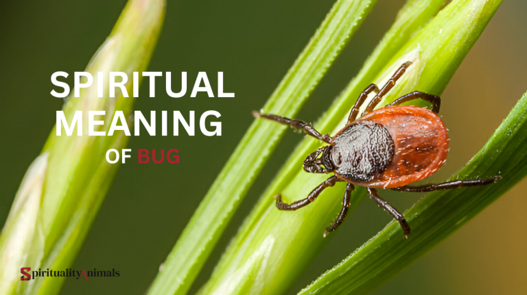 Spiritual Meaning of Bug