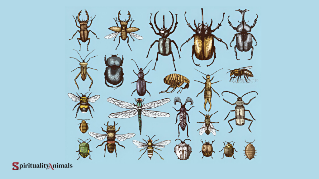 Spiritual Meaning of Cicada