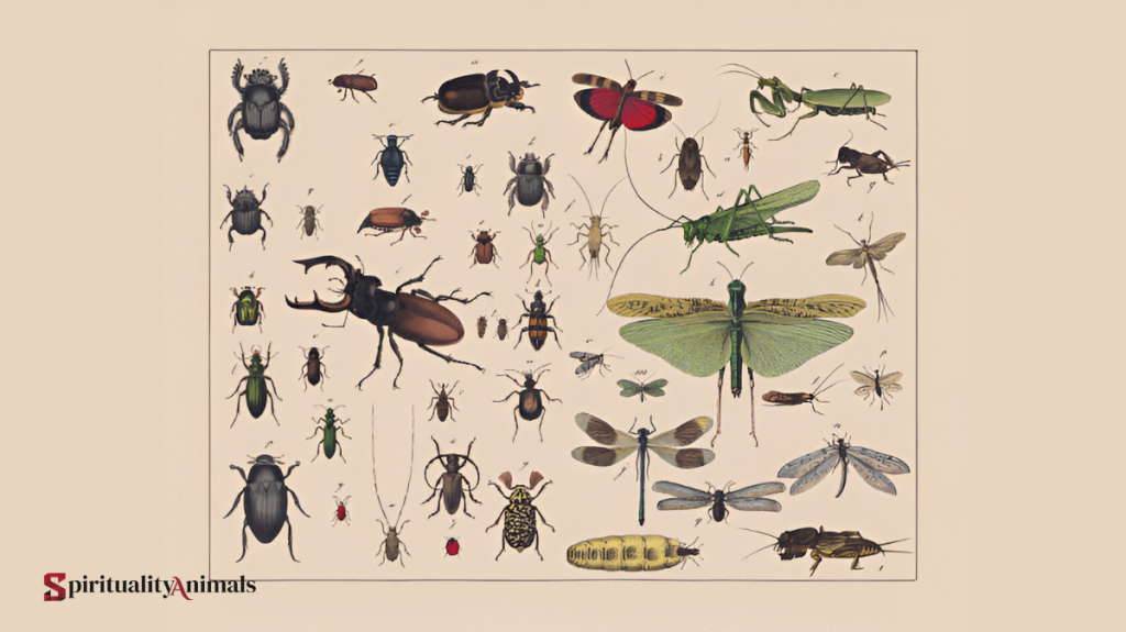 Spiritual Meaning of Cicada