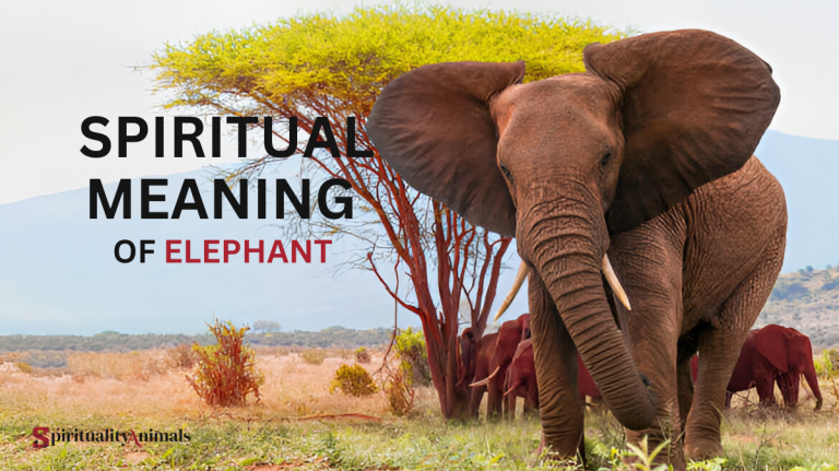 Spiritual Meaning of Elephant