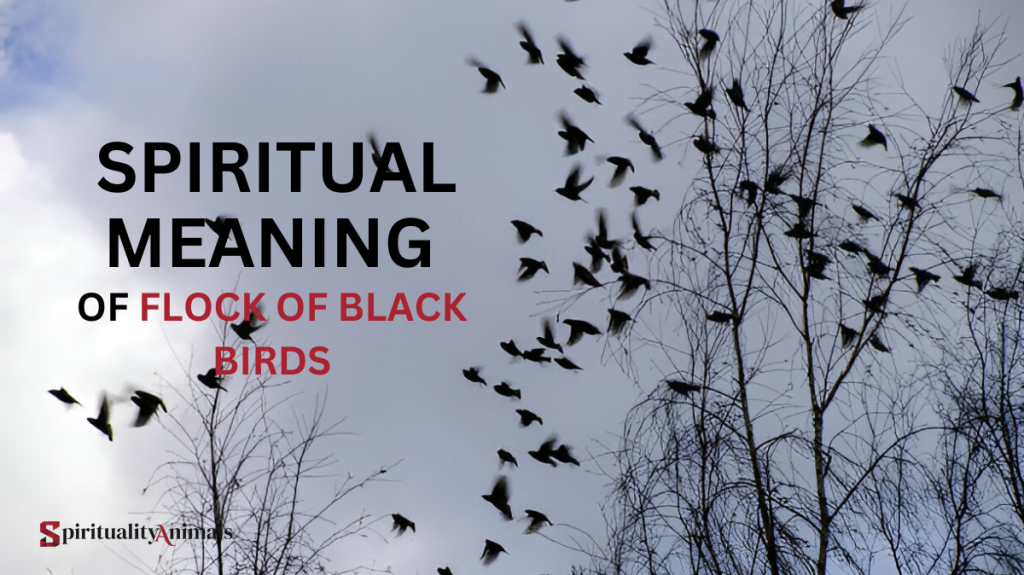 Spiritual Meaning of Flock of Black Birds