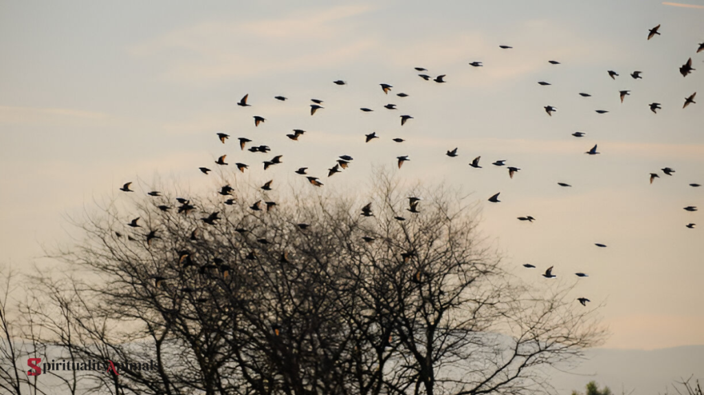 Spiritual Meaning of Flock of Black Birds