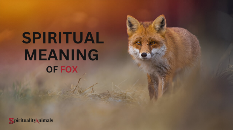 Spiritual Meaning of Fox
