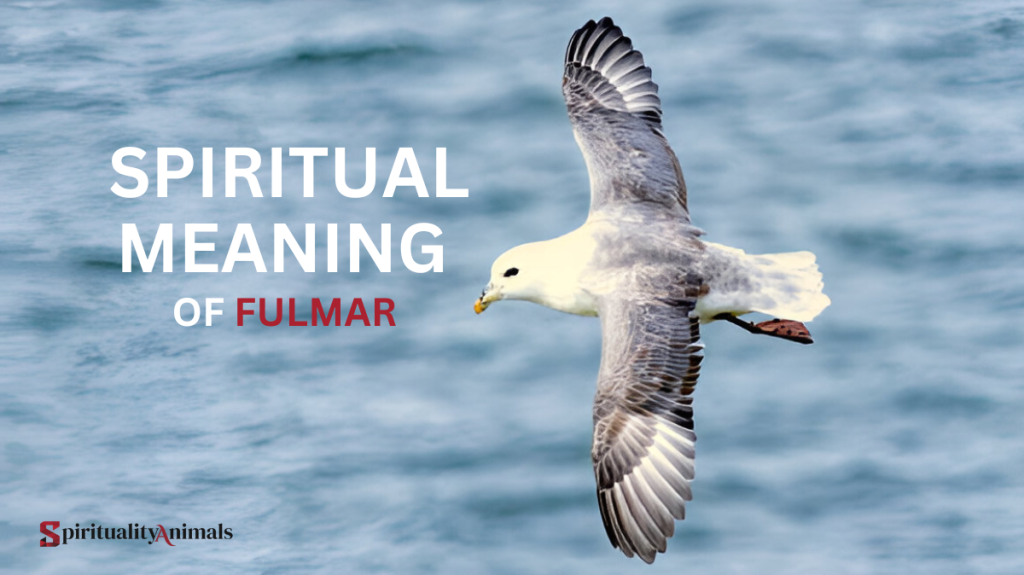 Spiritual Meaning of Fulmar