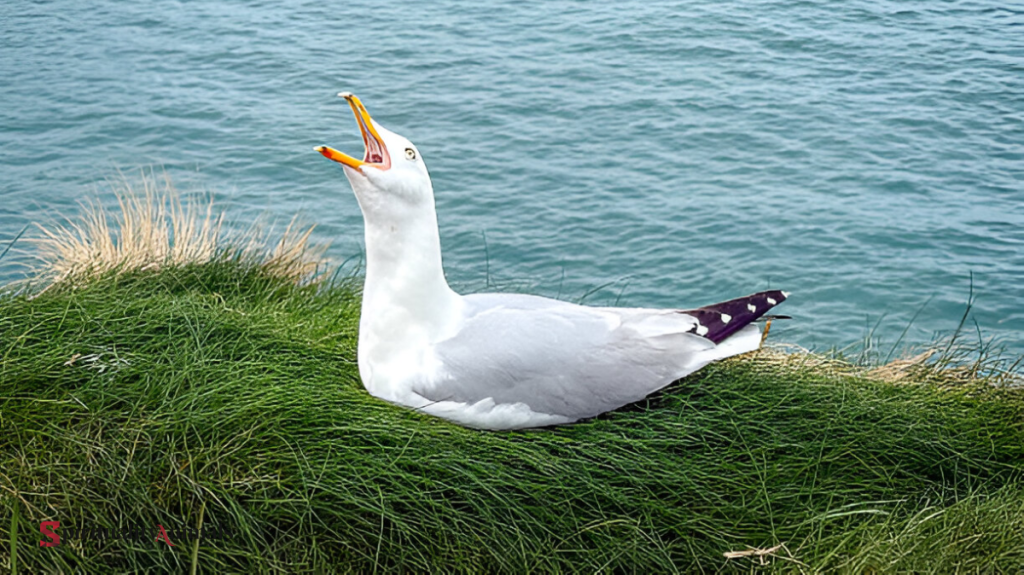 Spiritual Meaning of Fulmar