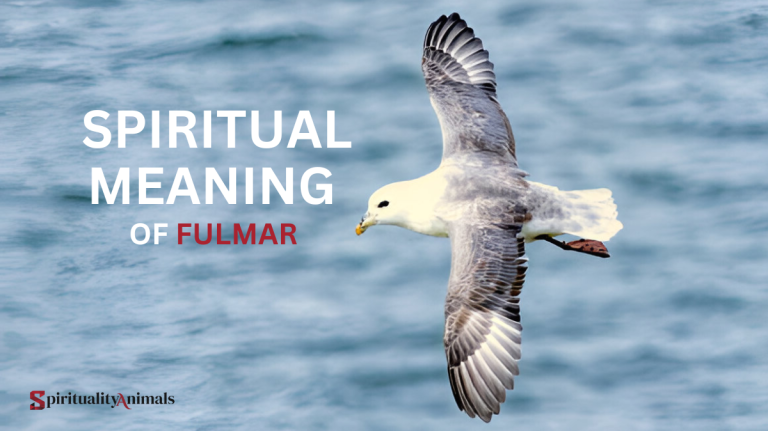 Spiritual Meaning of Fulmar