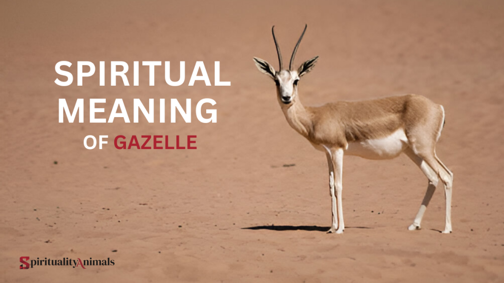 Spiritual Meaning of Gazelle