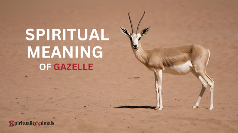 Spiritual Meaning of Gazelle