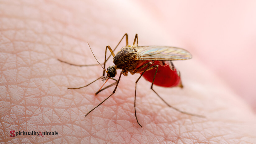 Spiritual Meaning of Gnat