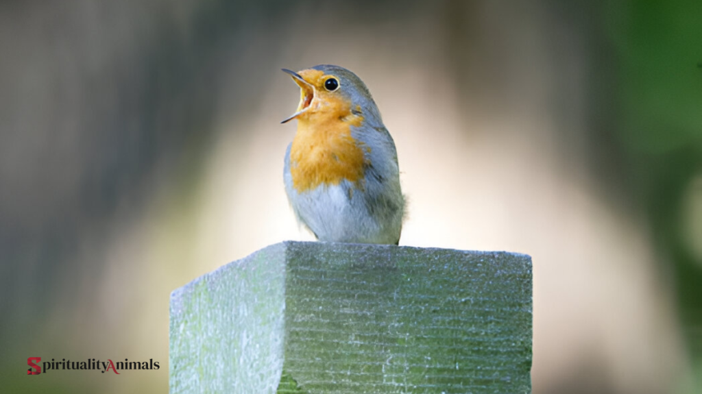 Spiritual Meaning of Hearing Birds Chirping in the Morning