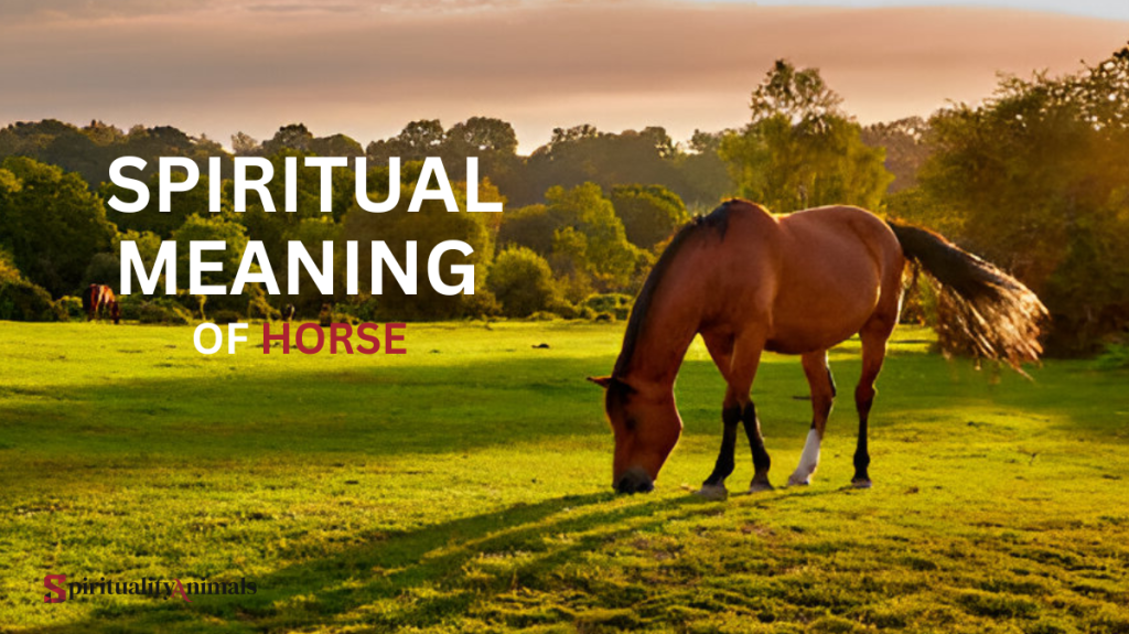 Spiritual Meaning of Horse