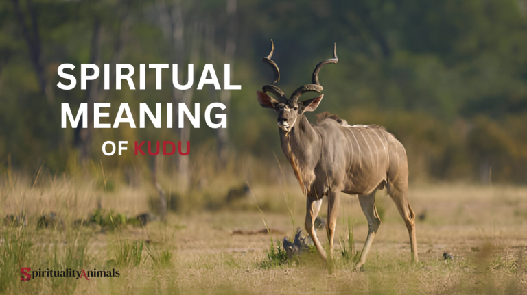 Spiritual Meaning of Kudu