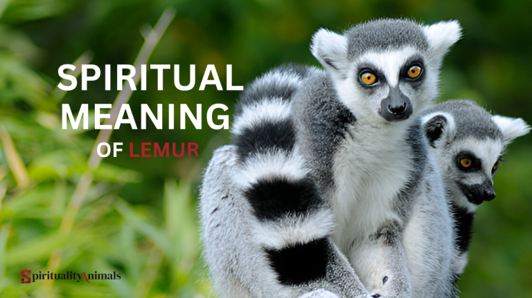 Spiritual Meaning of Lemur
