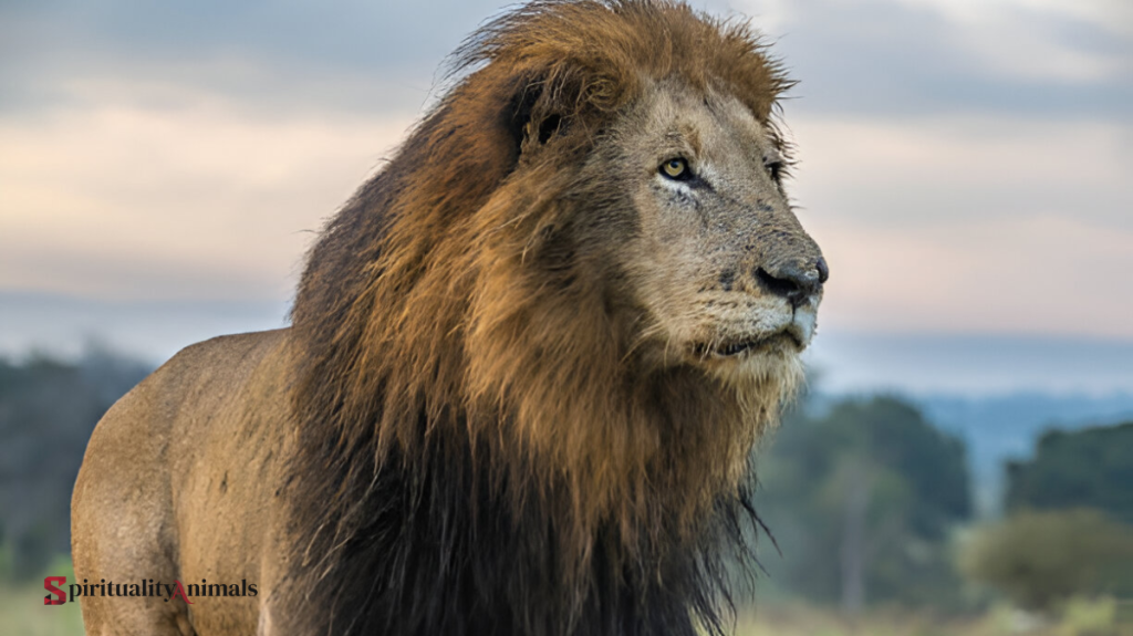 Spiritual Meaning of Lion