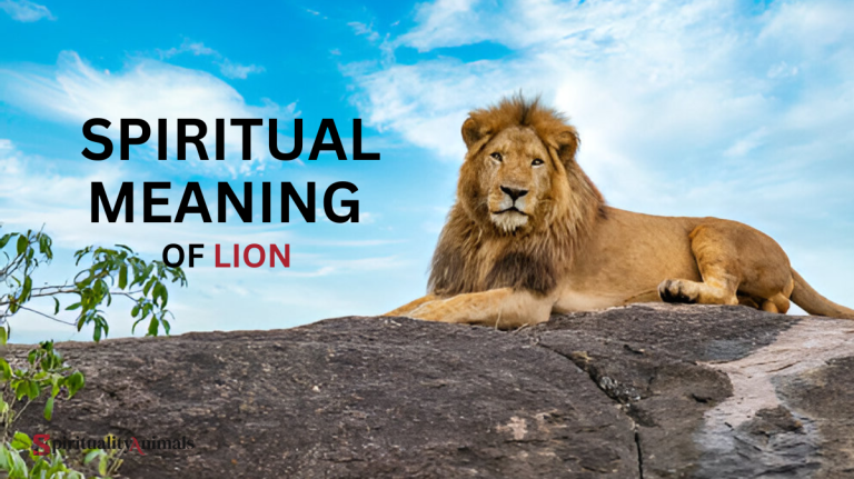 Spiritual Meaning of Lion