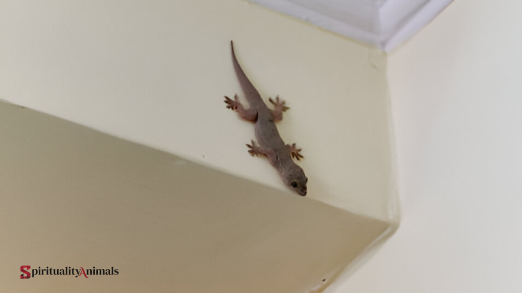 Spiritual Meaning of Lizard