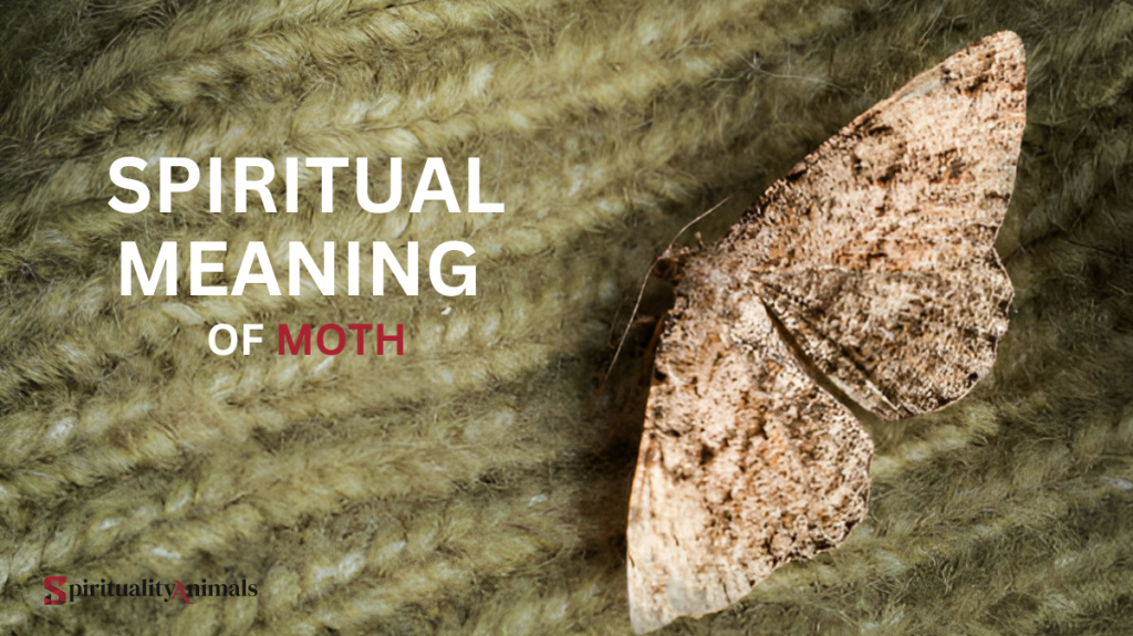 Spiritual Meaning of Mosquito