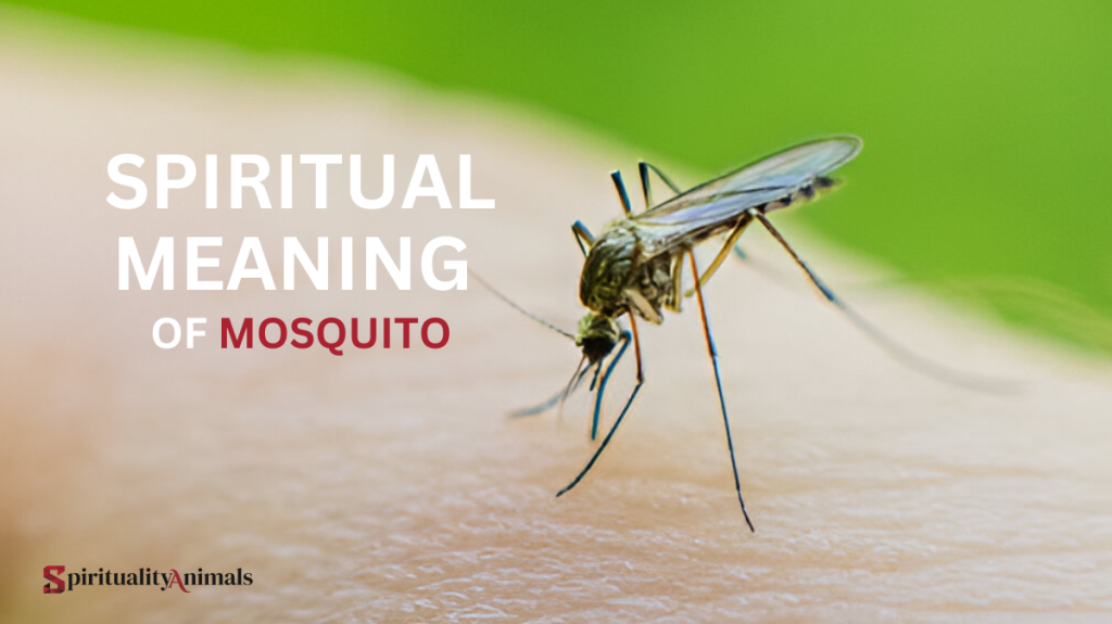 Spiritual Meaning of Mosquito