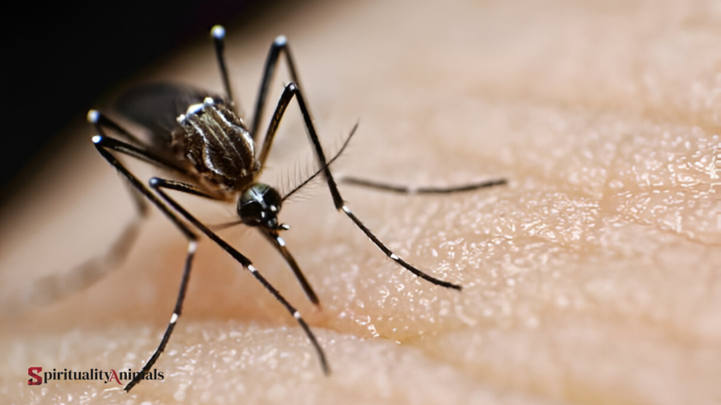 Spiritual Meaning of Mosquito