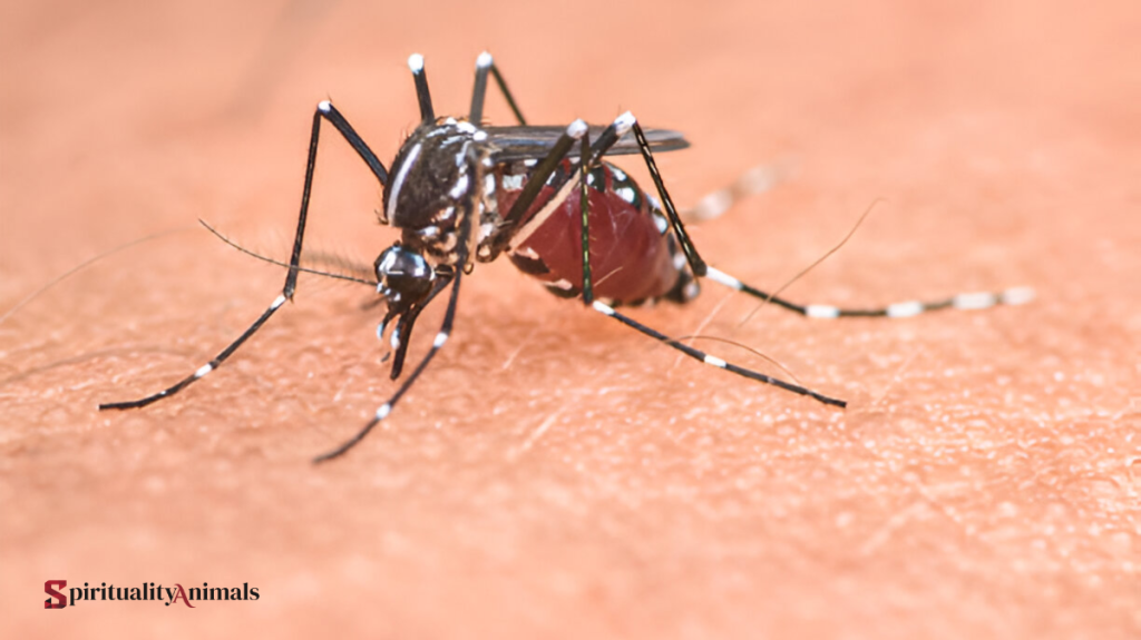 Spiritual Meaning of Mosquito