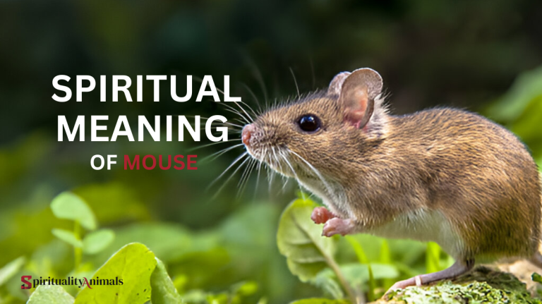 Spiritual Meaning of Mouse