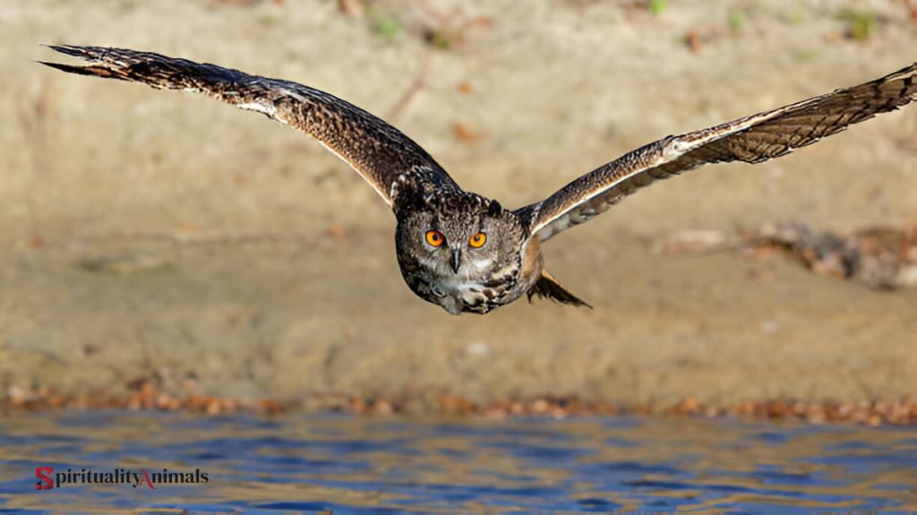 Spiritual Meaning of Owl