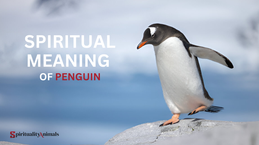 Spiritual Meaning of Penguin