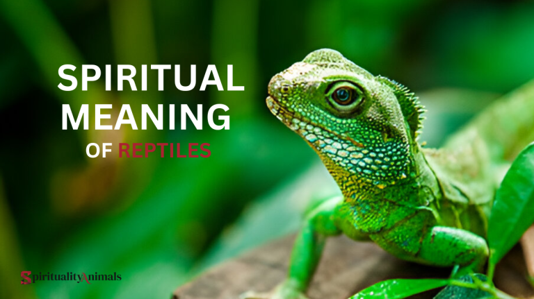 Spiritual Meaning of Reptiles