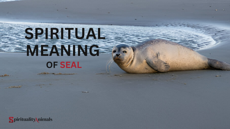 Spiritual Meaning of Seal