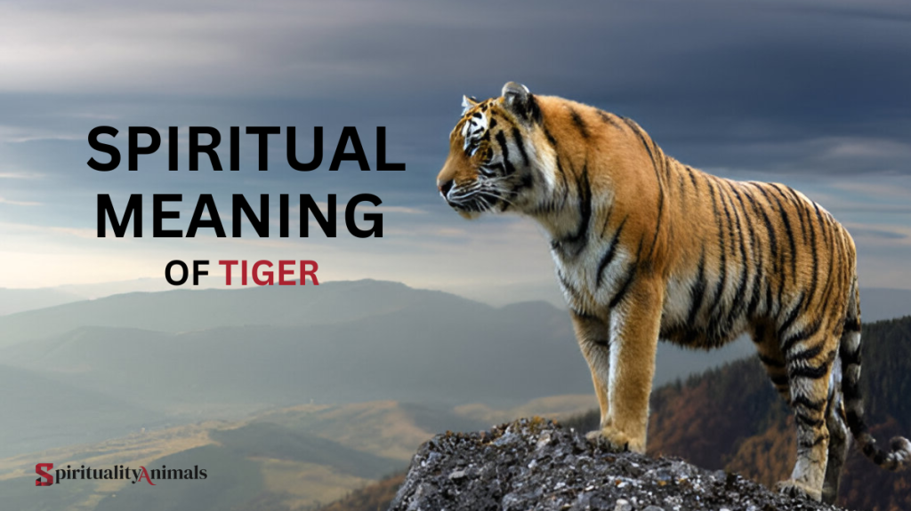 Spiritual Meaning of Tiger