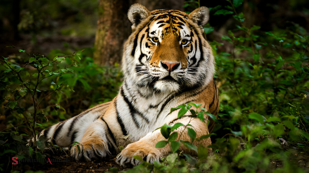 Spiritual Meaning of Tiger