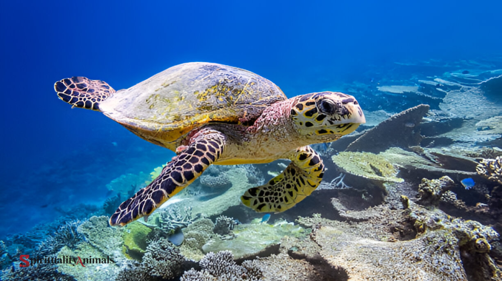 Spiritual Meaning of Turtle