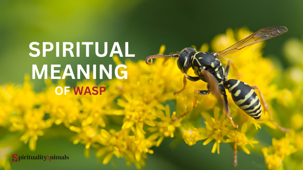 Spiritual Meaning of Wasp