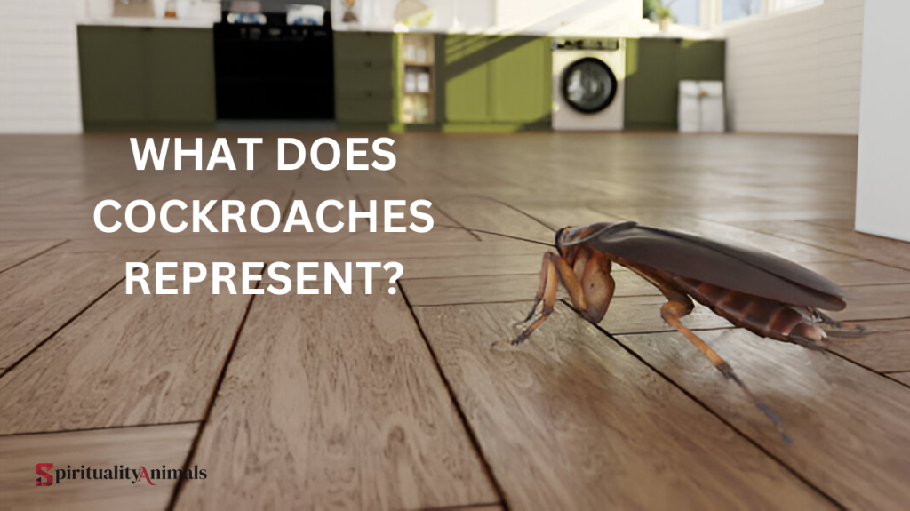 What Does Cockroaches Represent