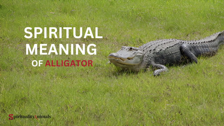 Spiritual Meaning of Alligator